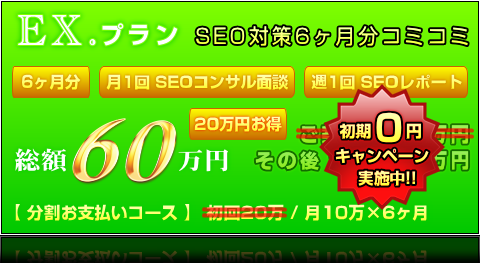 EX.プラン(6ヶ月分) | 総額60万円