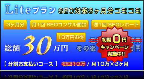 Liteプラン(3ヶ月分) | 総額30万円