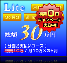 Liteプラン（3ヶ月分） ｜ 総額30万円
