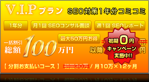 V.I.Pプラン(1年分) | 一括割引 総額100万円