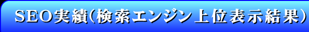 SEO実績（検索エンジン上位表示結果）